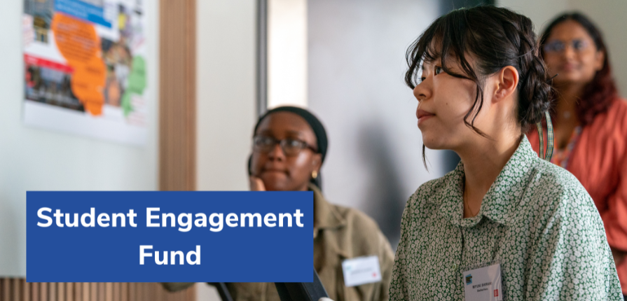 The Student Engagement Fund (SEF) is a mini-grant funding scheme aimed at supporting student-led joint initiatives within the CIVICA alliance.