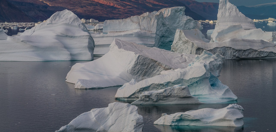 CIVICA - The European University of Social Sciences invites applications to a Project Arctic: A simulation of climate-induced conflict in the Arctic Region.